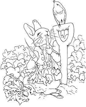 The tale of peter rabbit coloring book dover classic stories coloring book potter beatrix books