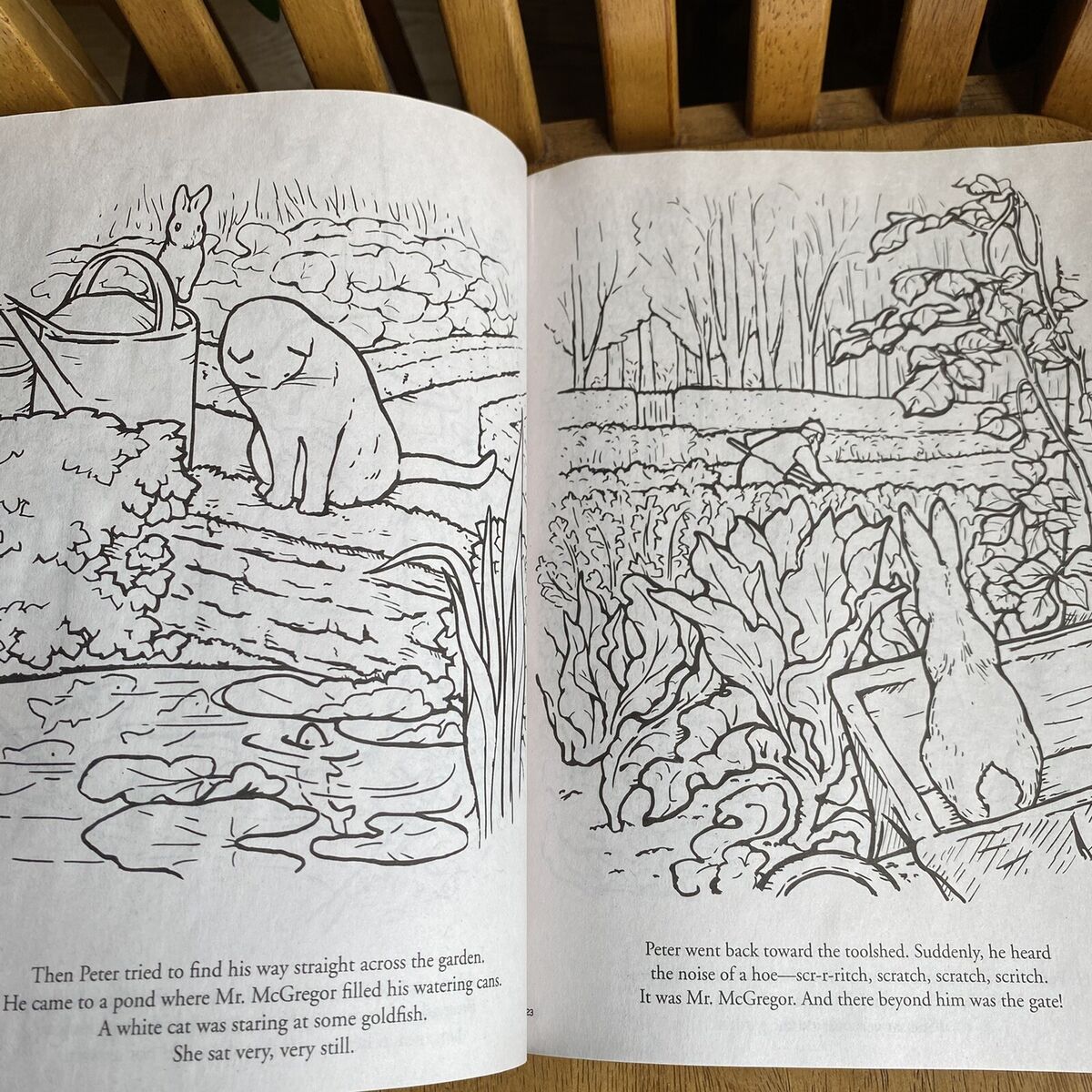 The tale of peter rabbit coloring book beatrix potter super book to color new
