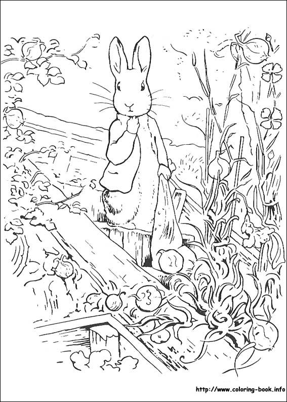 Peter rabbit coloring picture