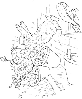 The tale of peter rabbit coloring book dover classic stories coloring book potter beatrix books