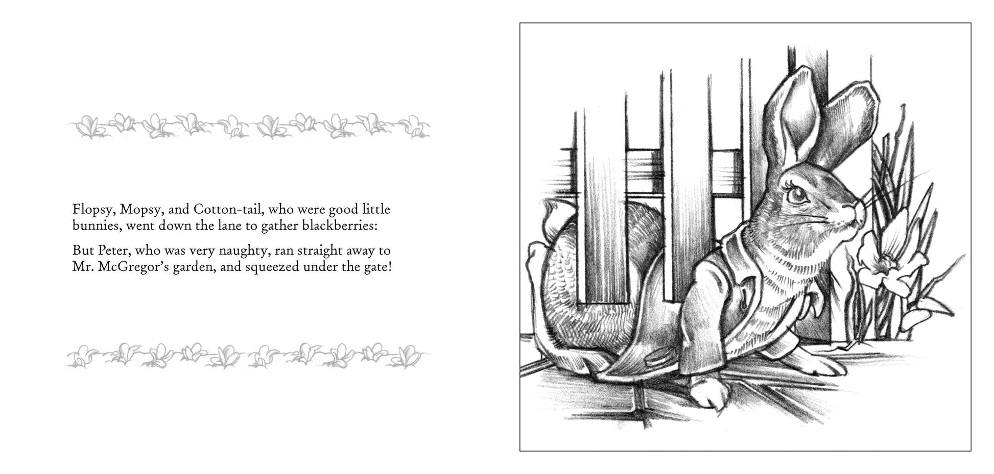 The peter rabbit coloring book the classic edition coloring book â cider mill press