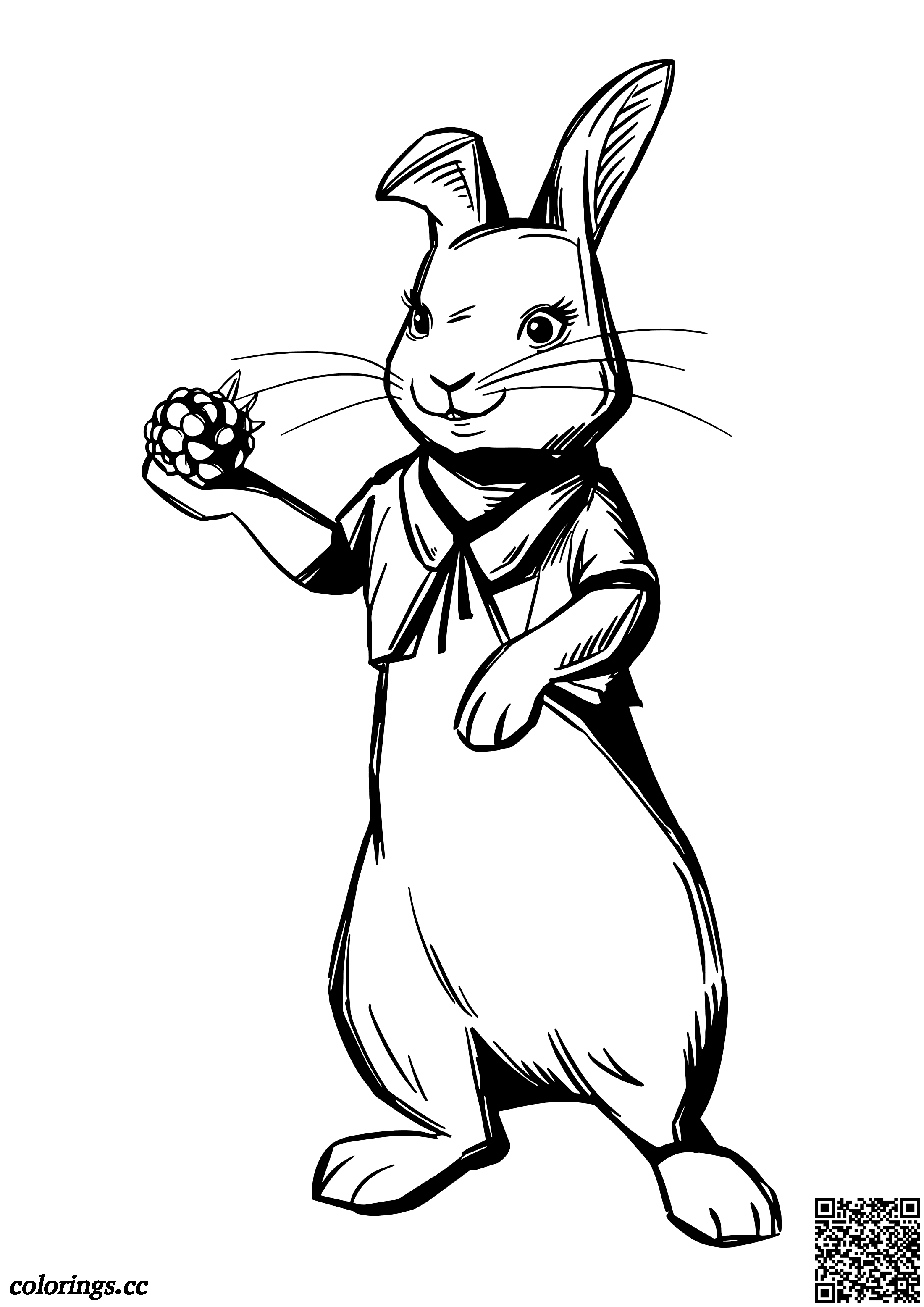 Flopsy