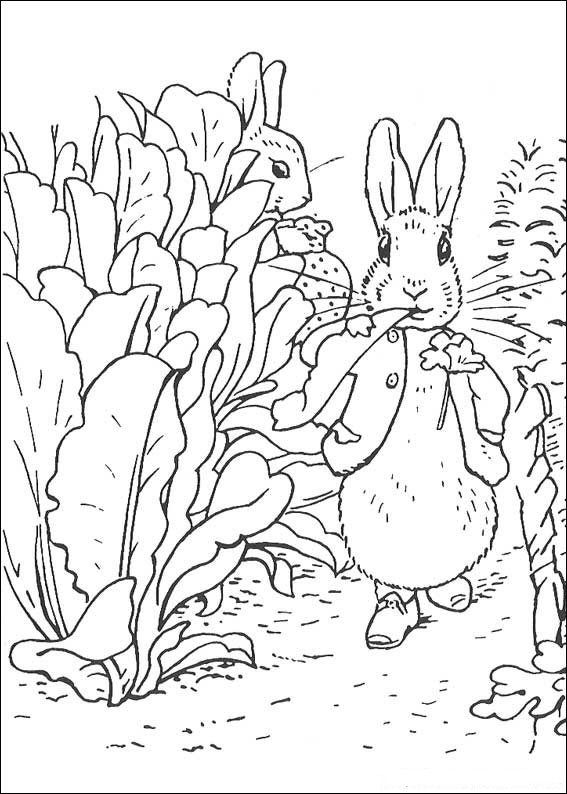 Peter rabbit coloring book peter rabbit illustration garden coloring pages bunny coloring pages