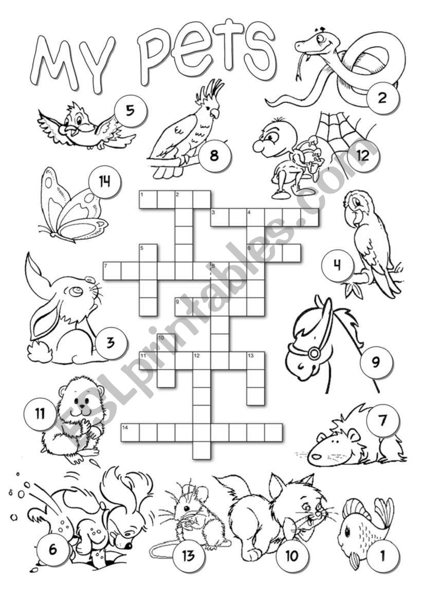 Pets crossword