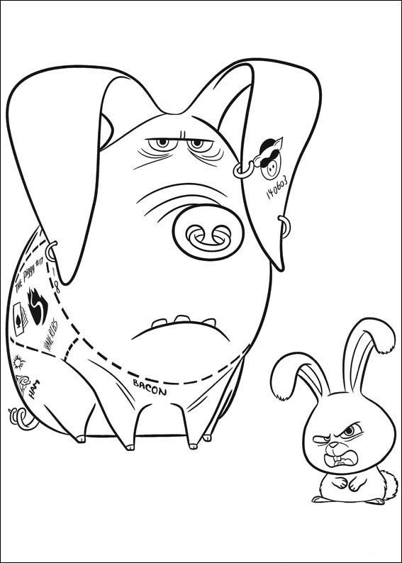 The secret life of pets coloring pages libro de colores libros para colorear adultos batman para colorear