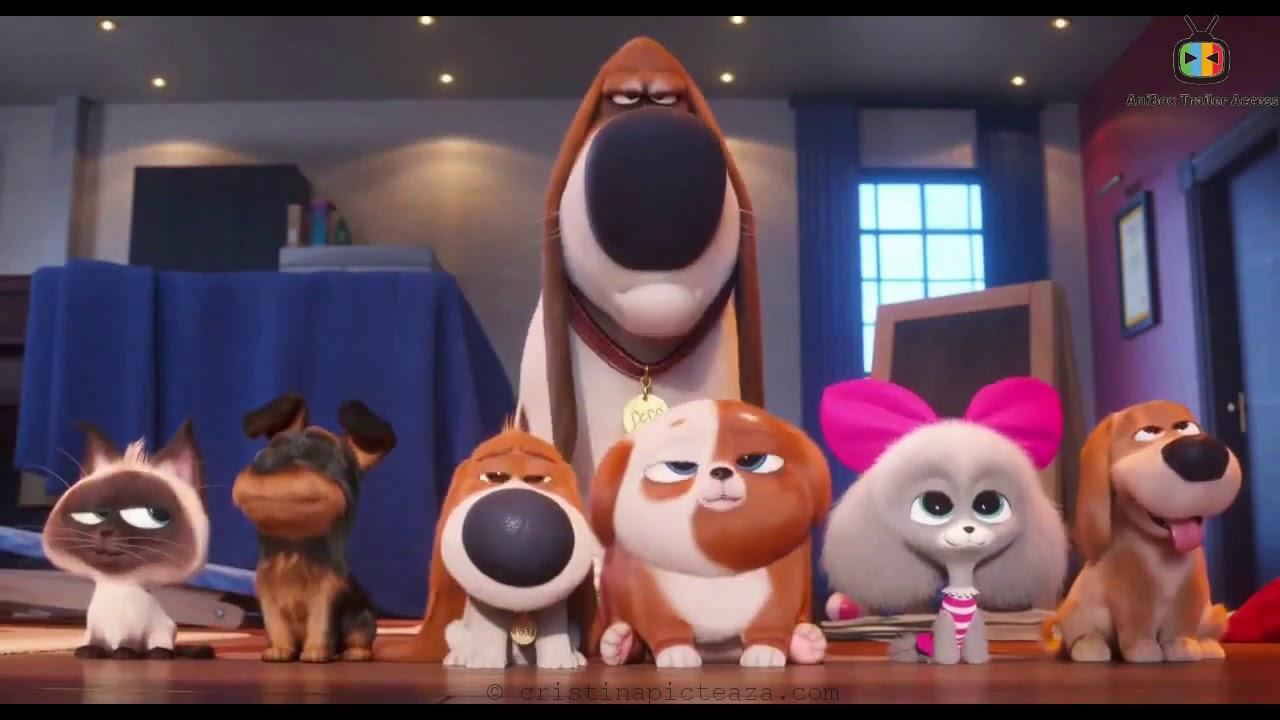 Secret life of pets coloring pages â cristina is painting