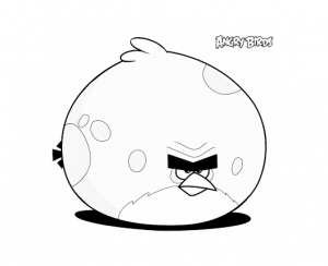Angry birds