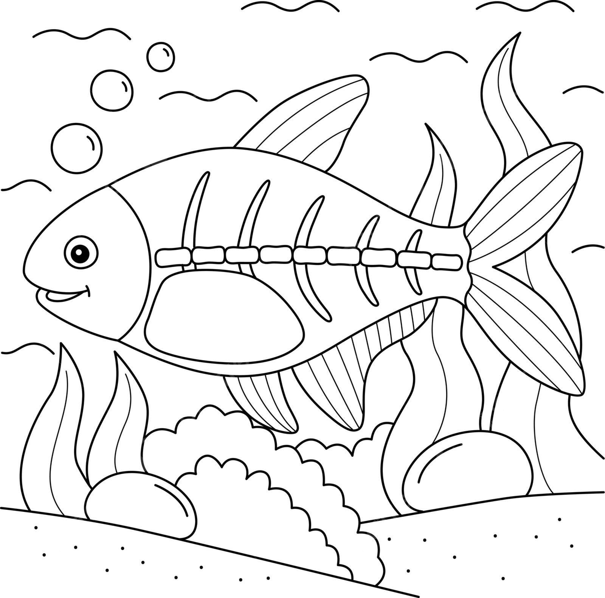 Dibujo de pãgina para colorear animal pec rayos x niãos libro diseão dibujado a mano vector png dibujos dibujo de pez dibujo de animal dibujo de libro png y vector para dcargar