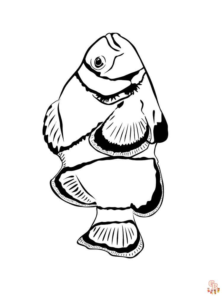 Dibujos para colorear de peces de acuario para niãos