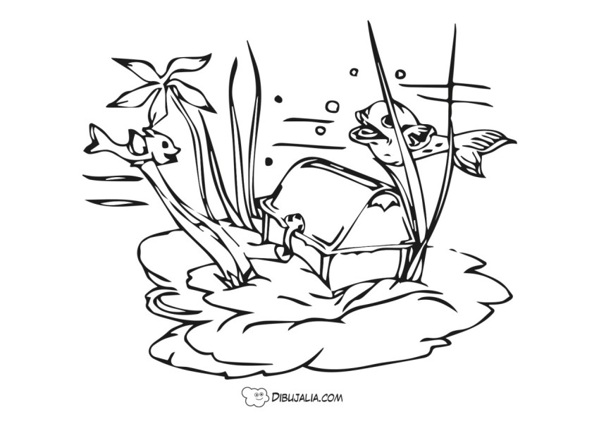 Pecera llena de peces