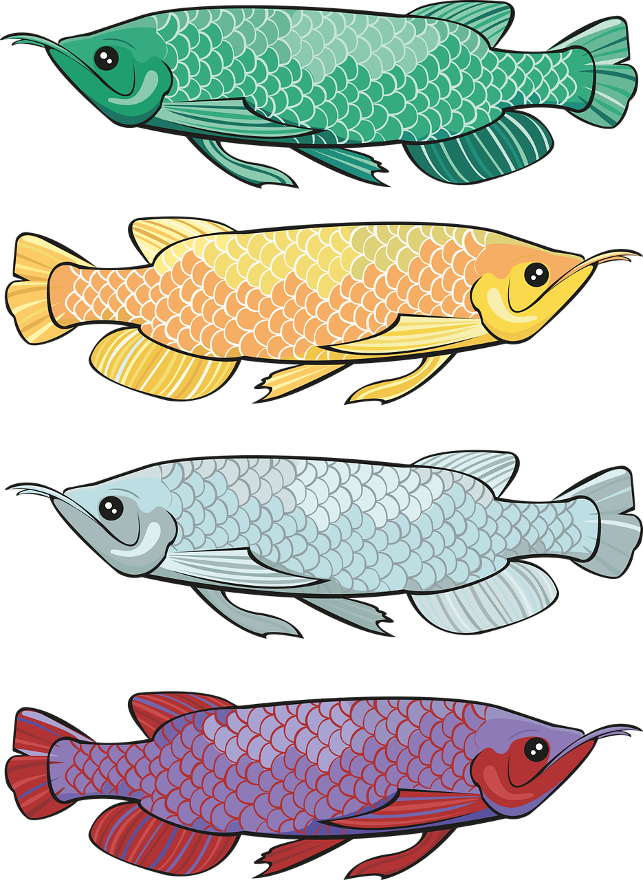 Peces ilustraciãn de dibujo