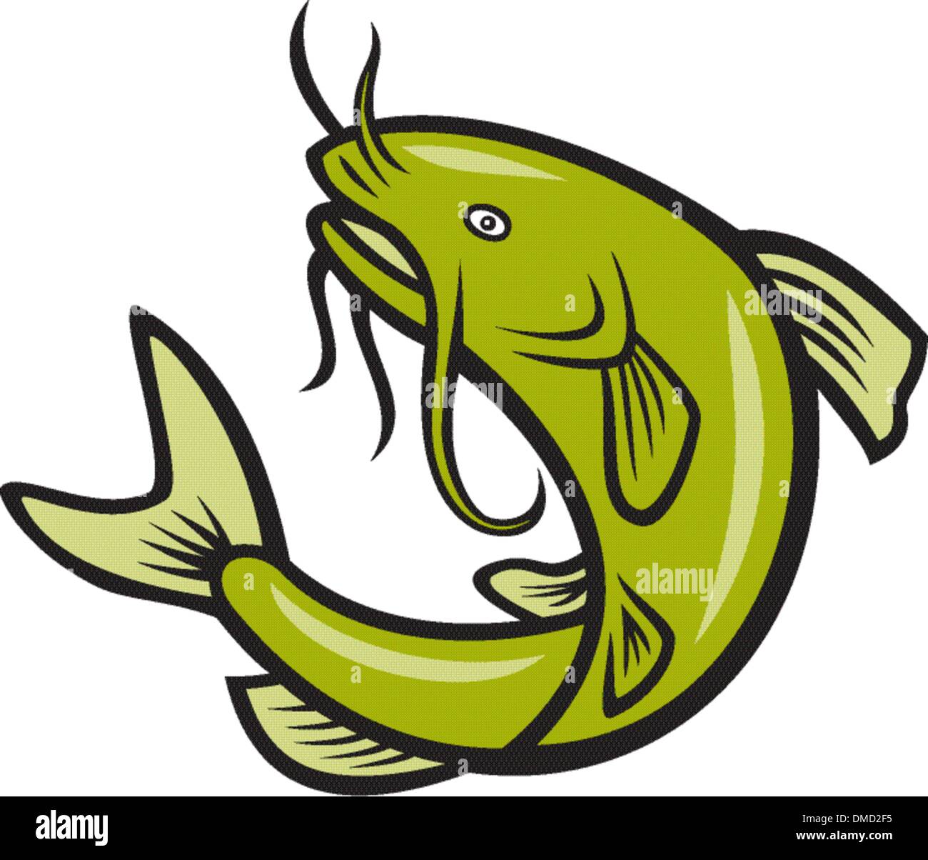 Catfish illustration hi