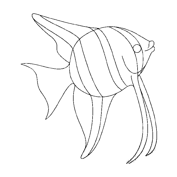 Pin by angels magro on pachwork fish coloring page coloring pages cute food drawings