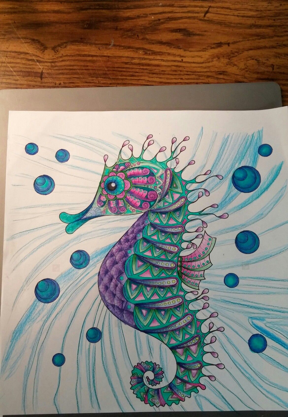 Adult coloring colorful colored pencils prisma pleted finished sea seahorse ocean underwatâ seahorse artwork ocean coloring pages coloring book art