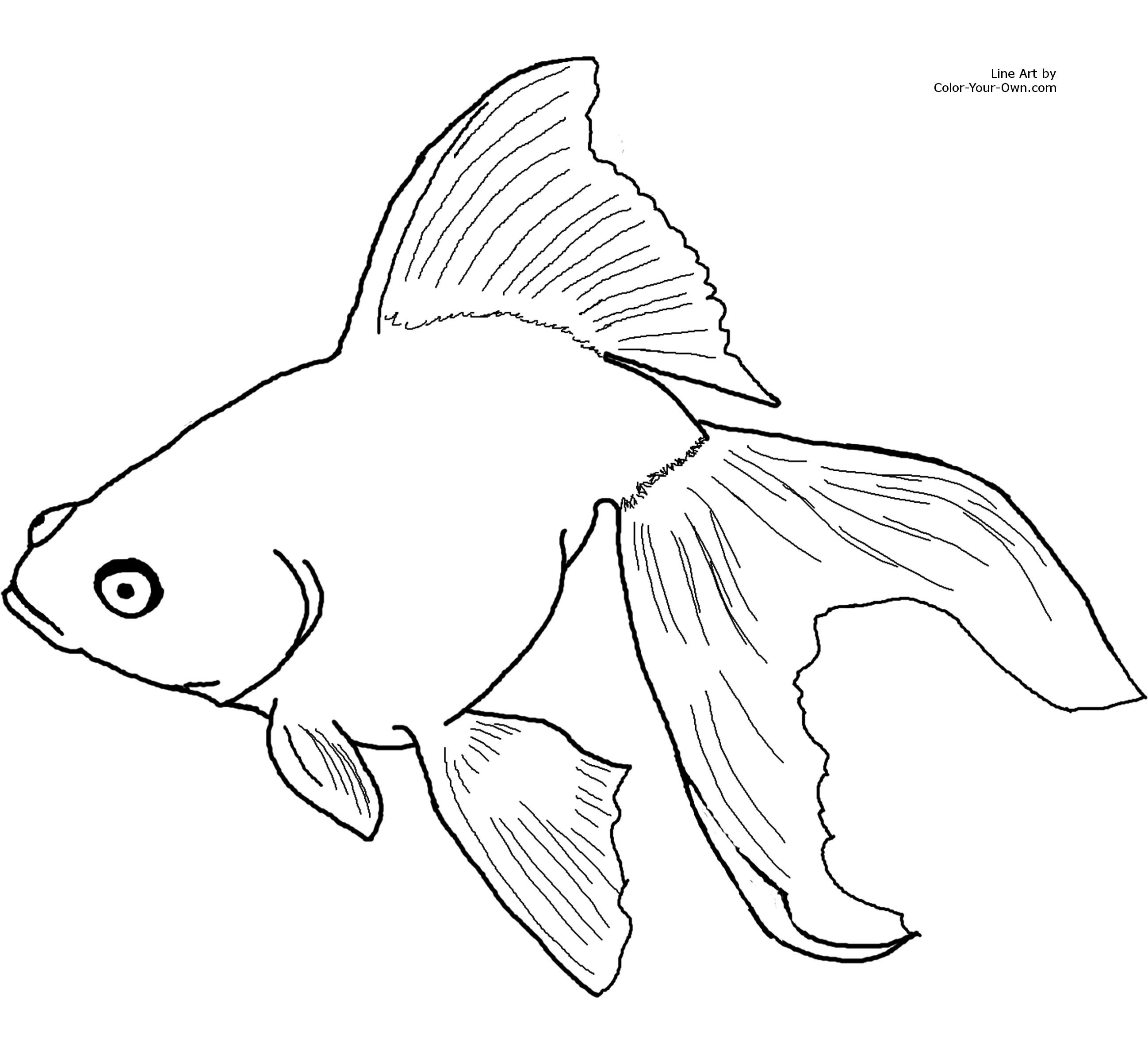 For the x printable size click here fish coloring page animal coloring pag adult coloring pag