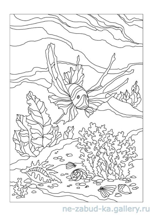Ððð ðð ððñðºðµ coloring pages for adults