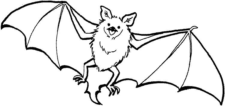 Dibujos de murciãlagos para colorear y pintar bat coloring pages animal coloring pages coloring pictures