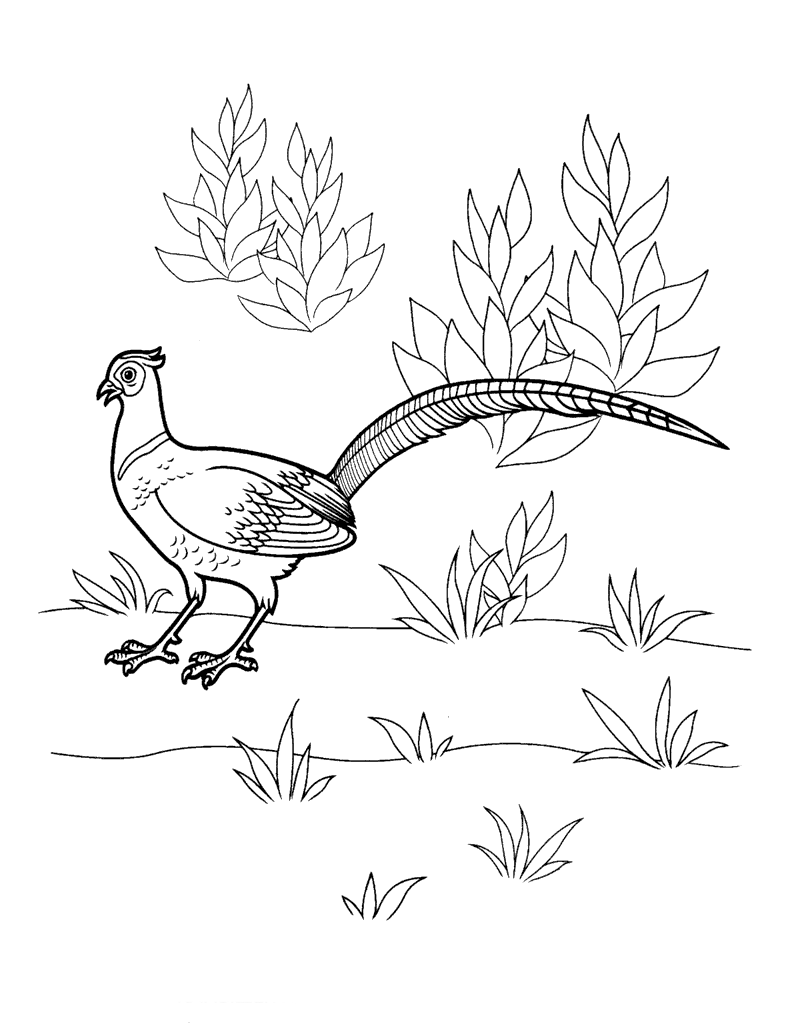 Coloring page