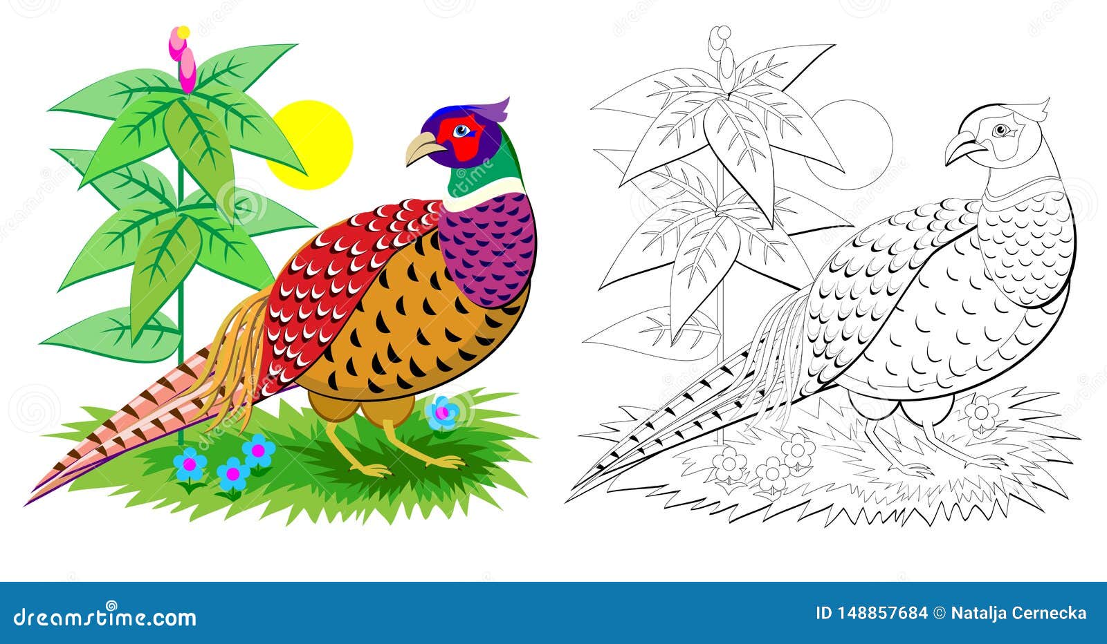 Fantasy illustration of cute pheasant with bright feathering colorful and black and white page for coloring book for kids stock vector