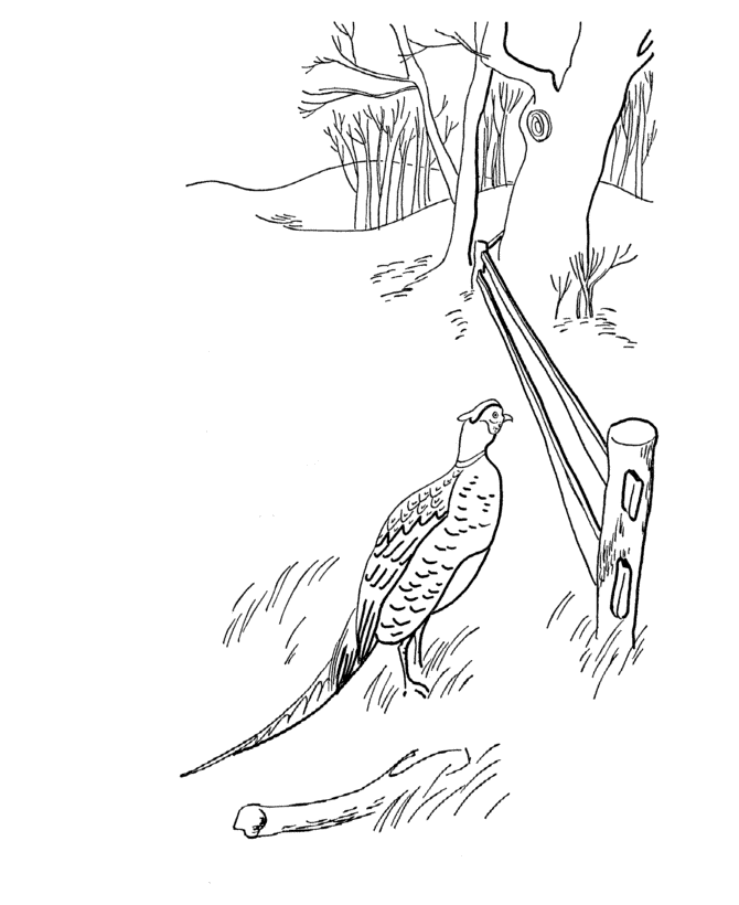 Bluebonkers fall coloring sheets