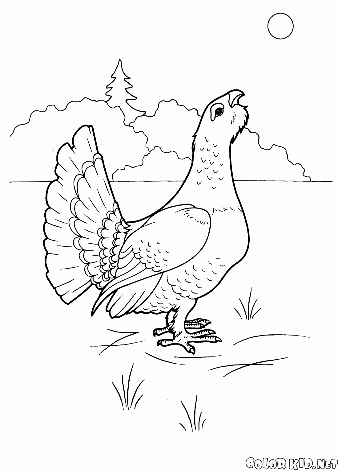 Coloring page
