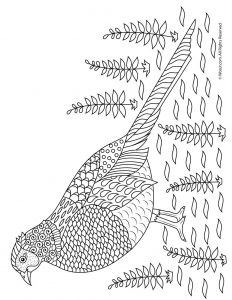 Fall animal adult coloring pages woo jr kids activities childrens publishing