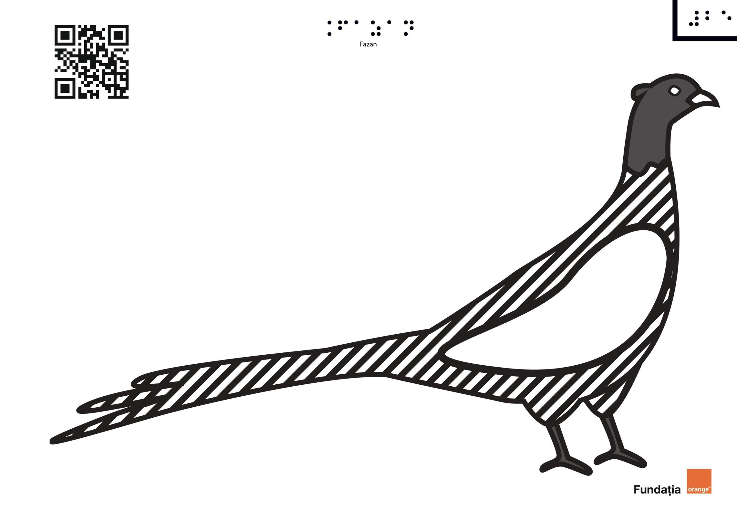 Pheasant
