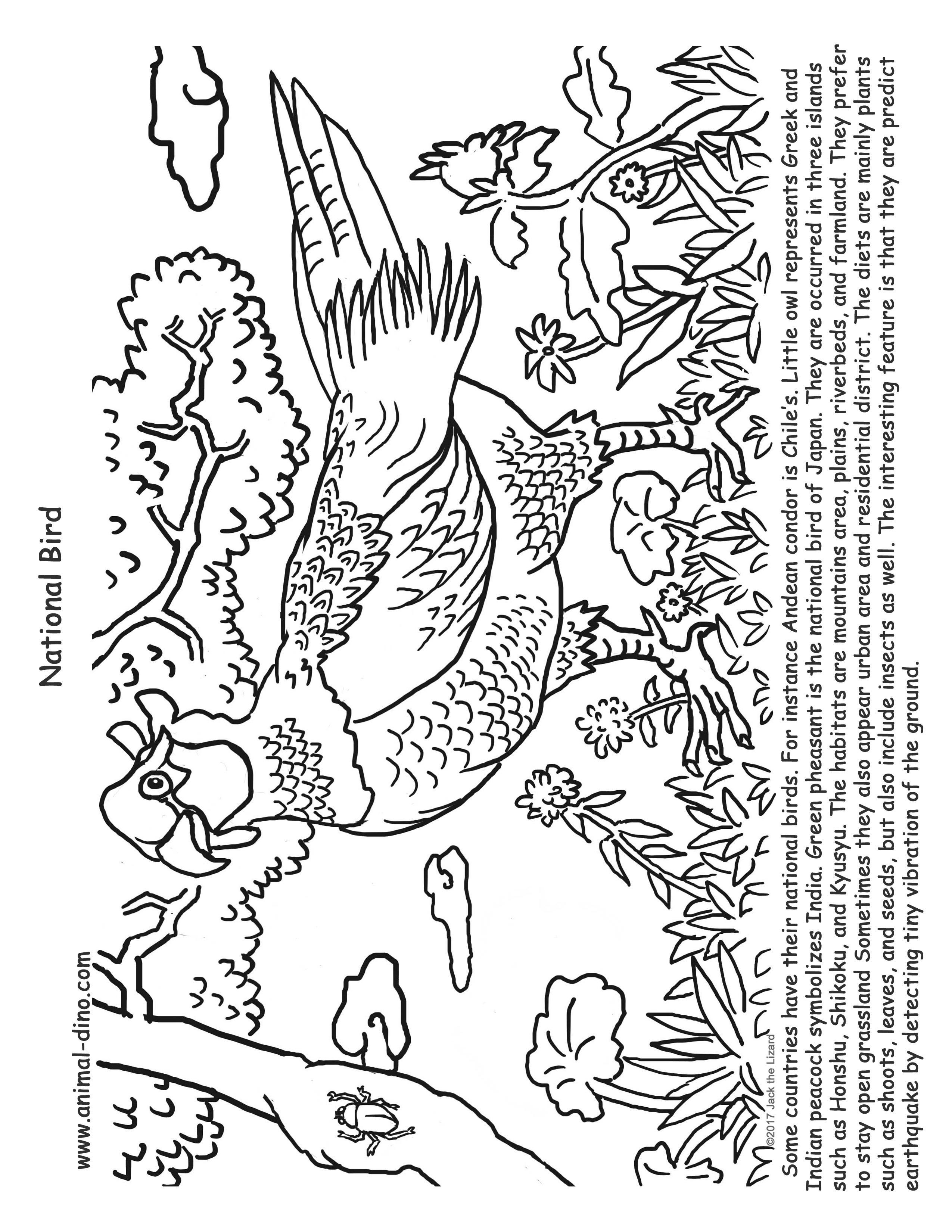 Animal coloring page green pheasant print size