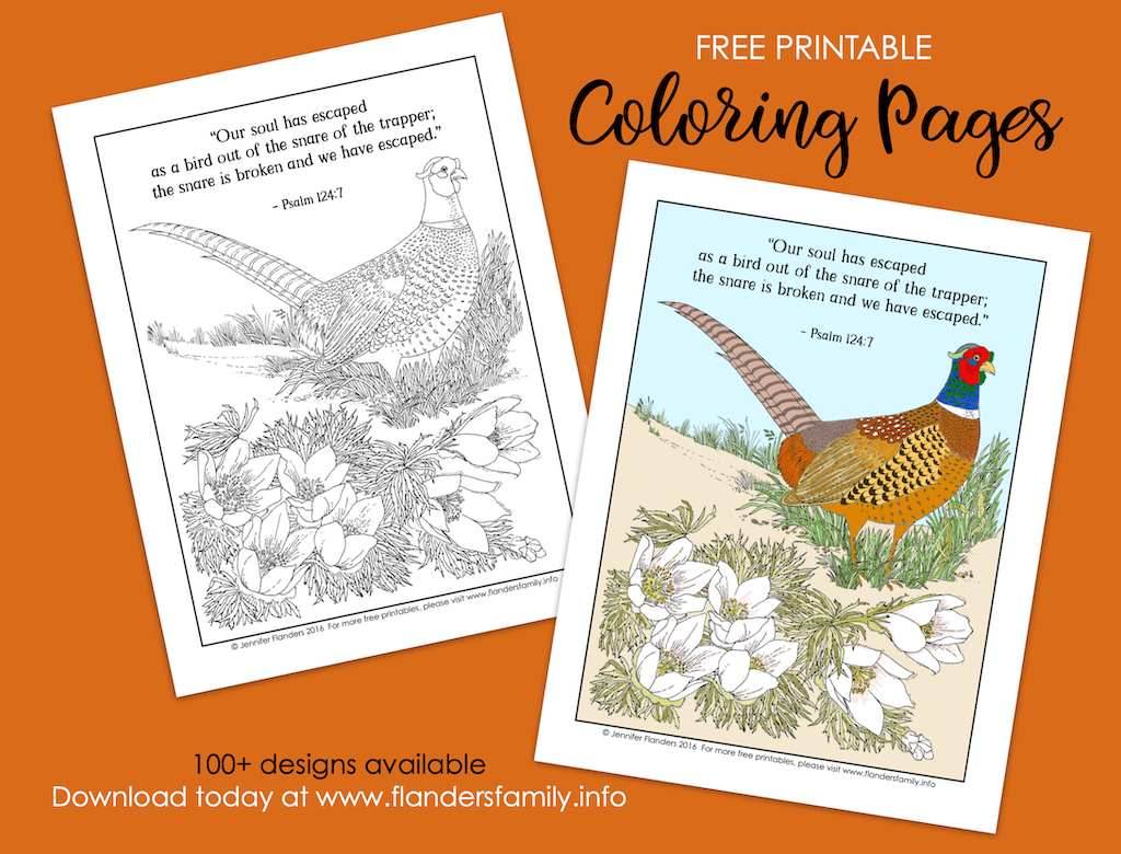 Our soul has escaped coloring page