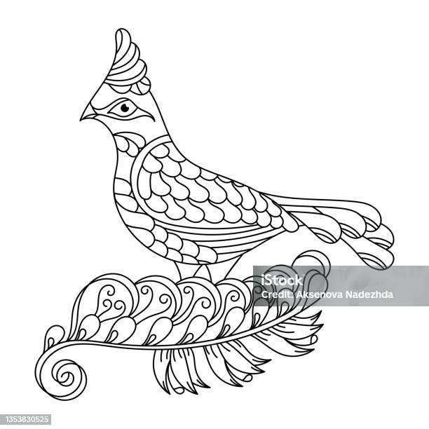 Coloring page for older children birds hand drawn in vintage style vector illustration stock illustration