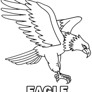 Eagle coloring pages printable for free download