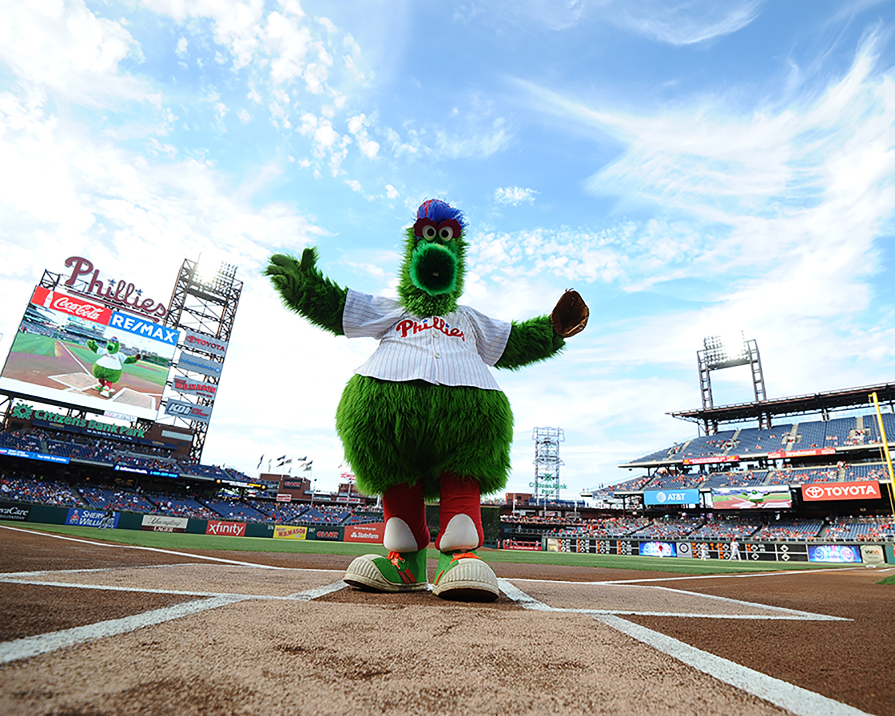 Phillie phanatic philadelphia phillies