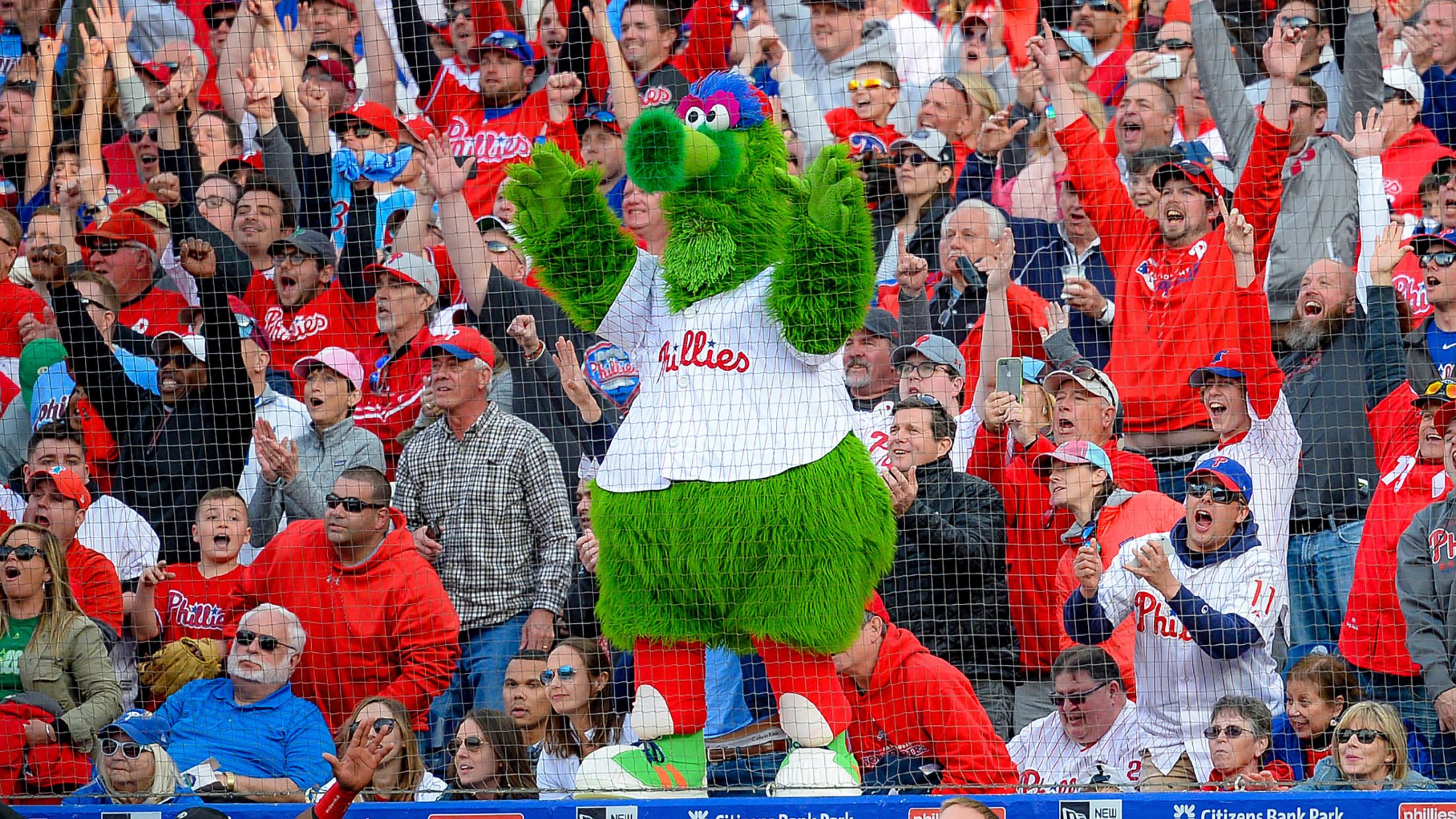 Phillie phanatic philadelphia phillies