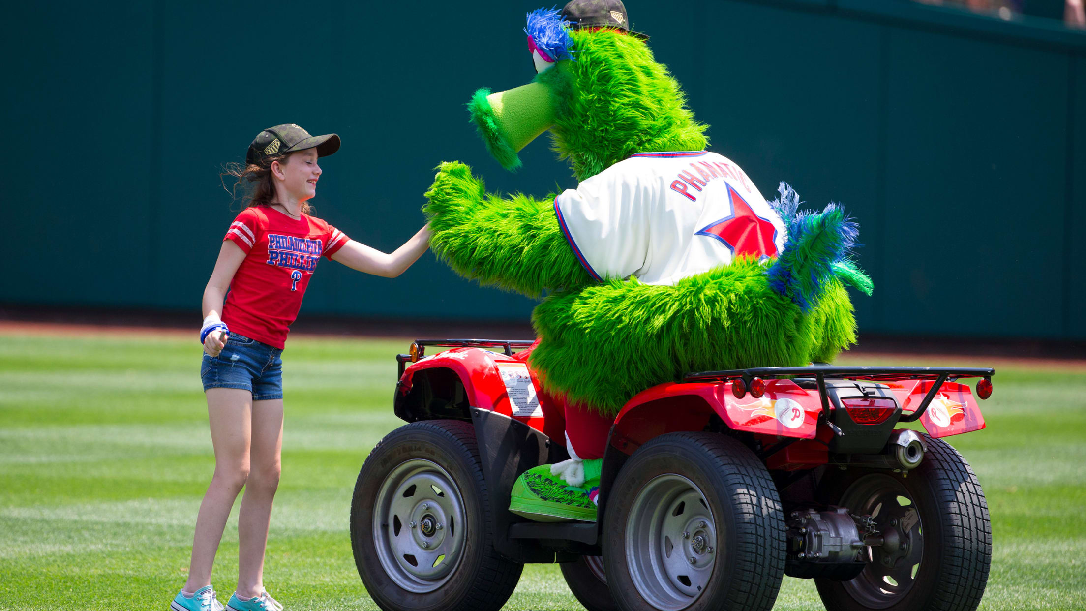 Phillie phanatic philadelphia phillies