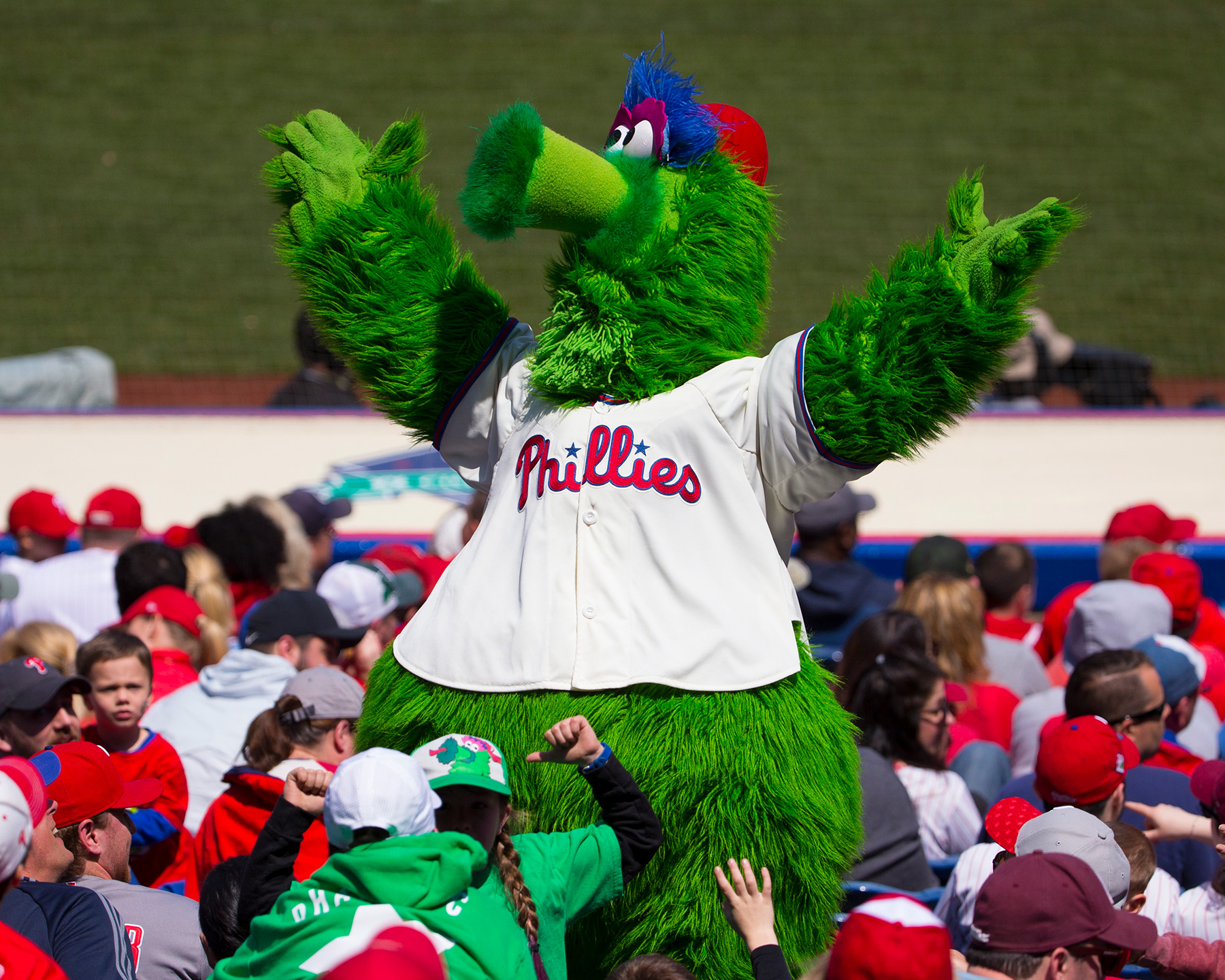 Phillie phanatic philadelphia phillies