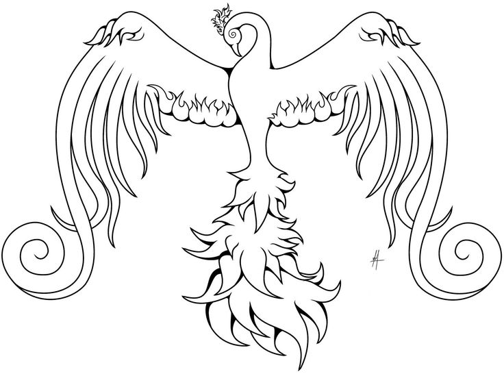 Phoenix bird coloring sheet for free bird coloring pages pictures of phoenix free printable coloring pages
