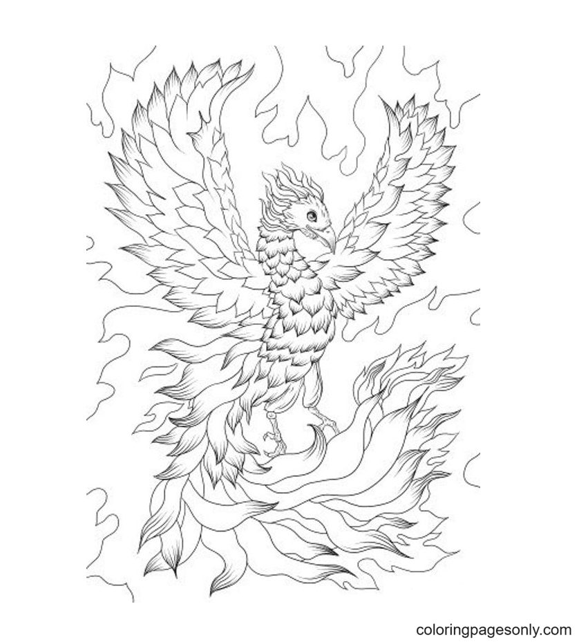 Phoenix coloring pages printable for free download