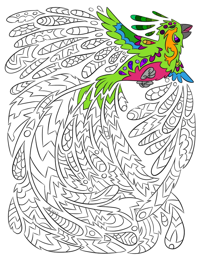 Ðpaisley bird of paradise coloring pageð
