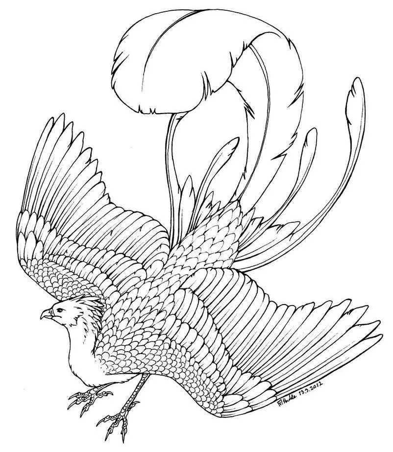 Phoenix bird coloring page to print