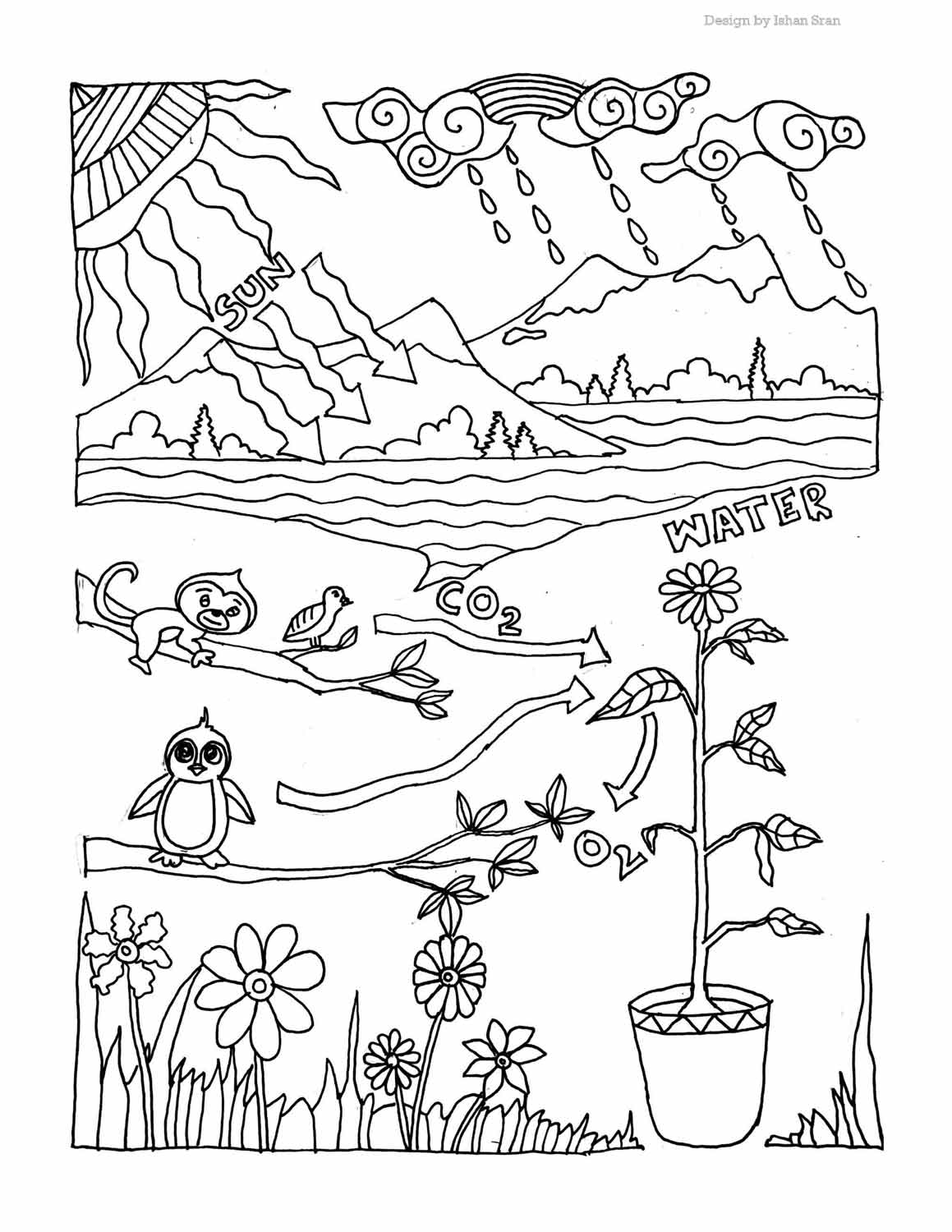Biology coloring pages â science fest