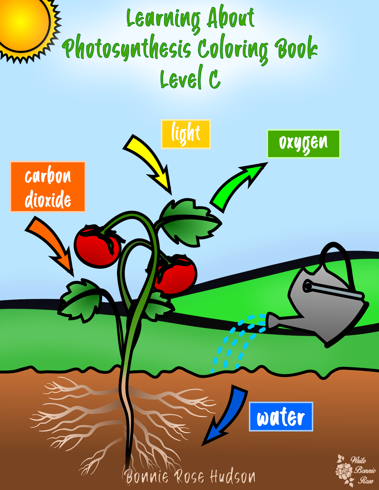Learning about photosynthesis coloring book