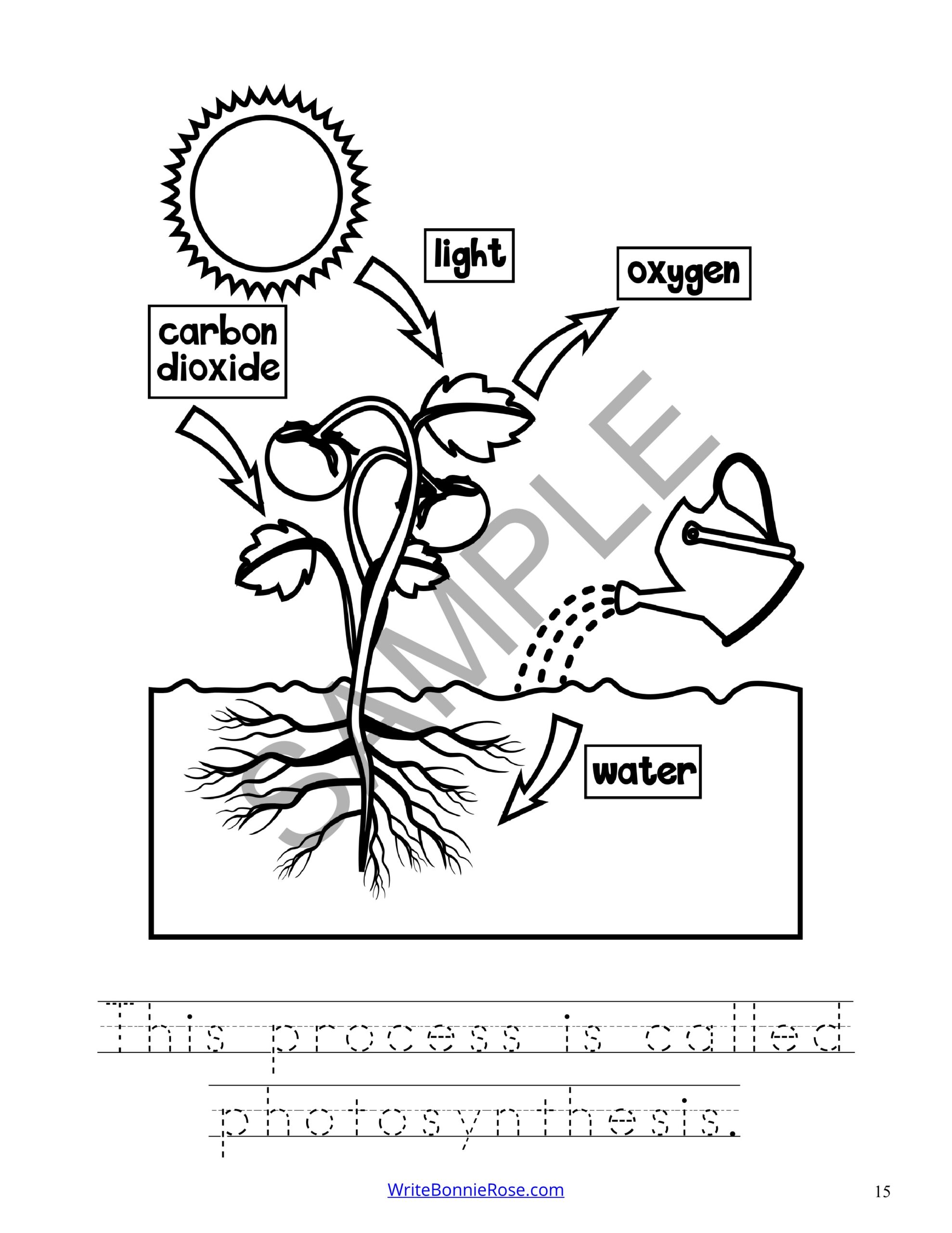 Questions answers coloring book about science plants