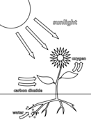 Science education coloring pages free coloring pages
