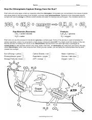 Photosynthesis coloringpdf