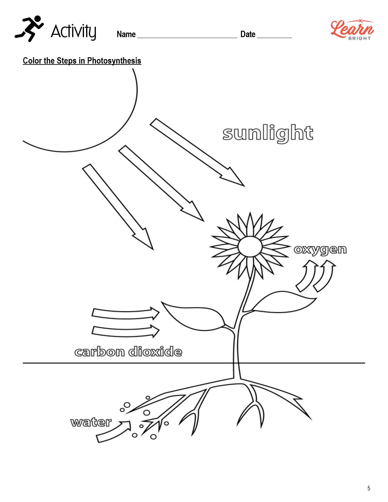 Photosynthesis free pdf download