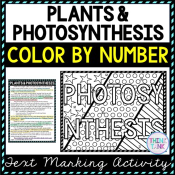 Plants photosynthesis color by number reading passage