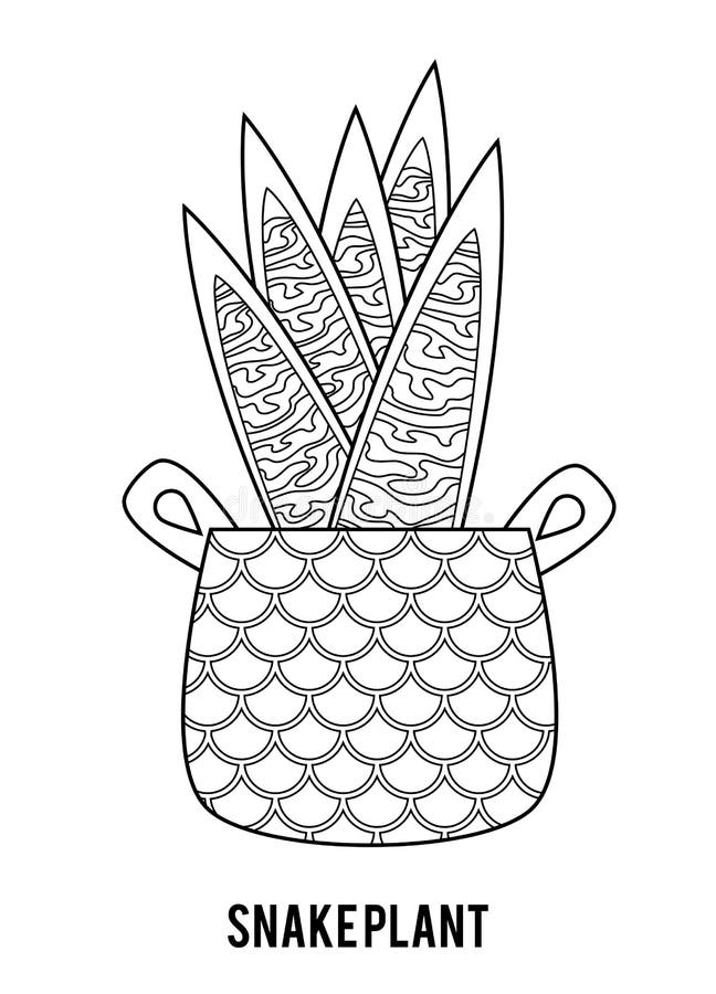 Photosynthesis worksheet stock illustrations â photosynthesis worksheet stock illustrations vectors clipart