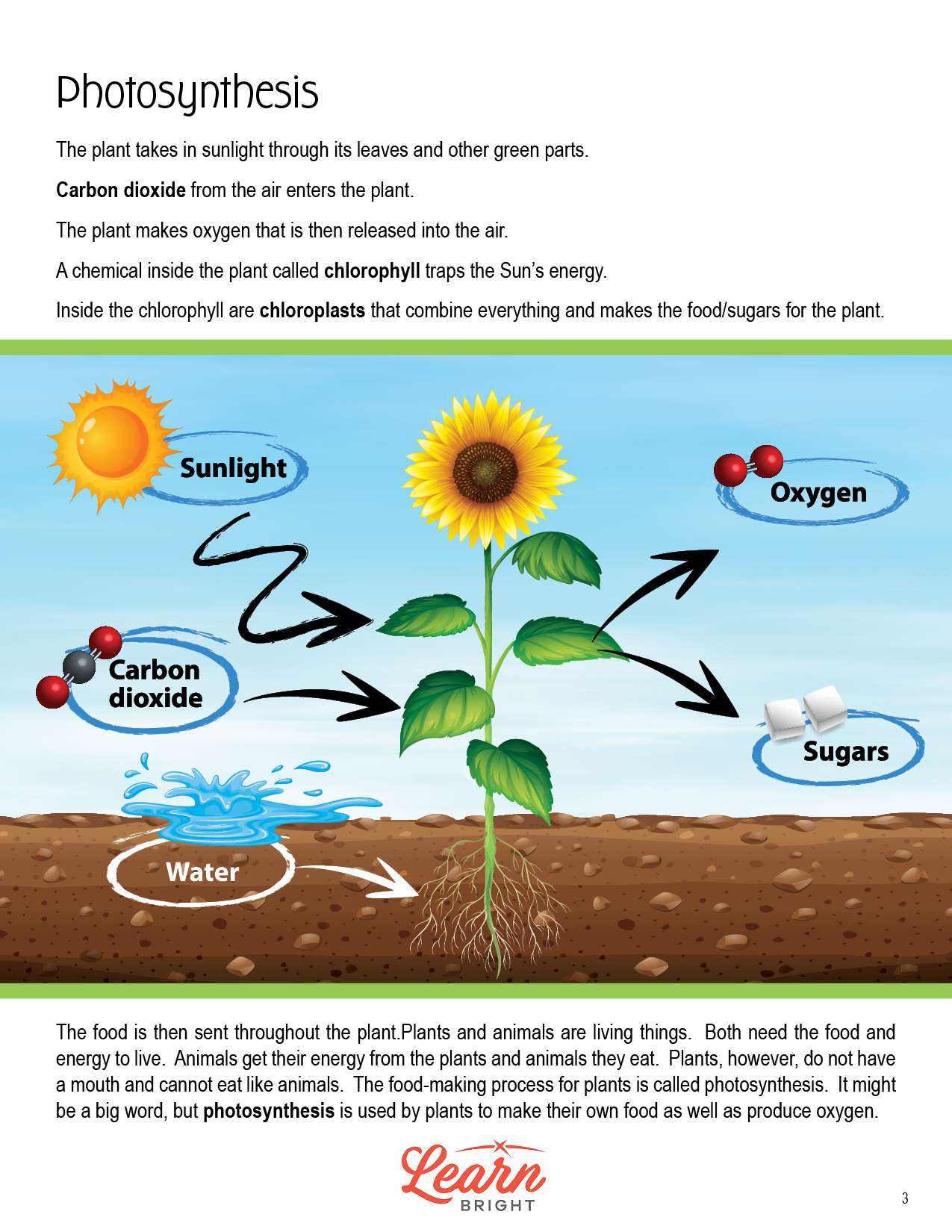 Photosynthesis free pdf download