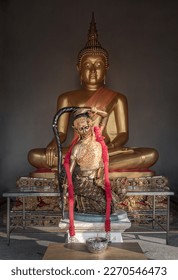 Phra mae thorani images stock photos d objects vectors