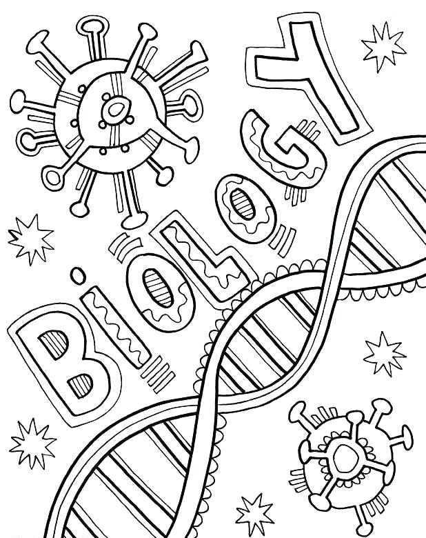 Pin by carolina trs on sticker coloring books coloring pages for kids science color sheets